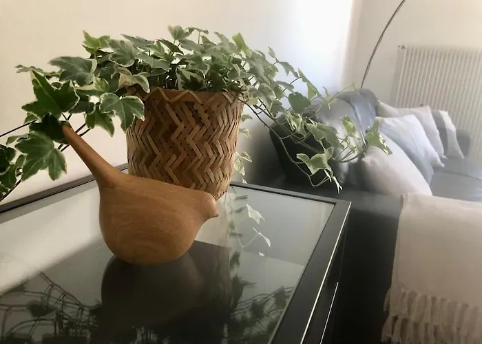 公寓 Coeur De Cathedrale - Ascenseur -