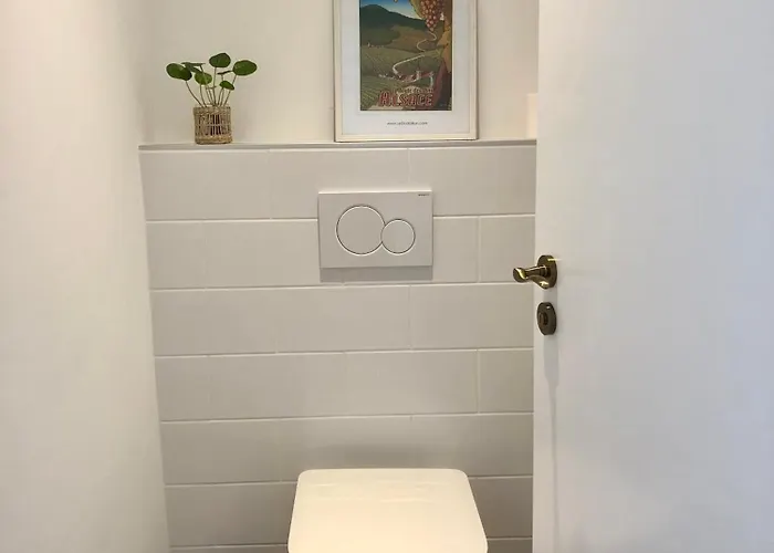 公寓 Coeur De Cathedrale - Ascenseur - 科尔马